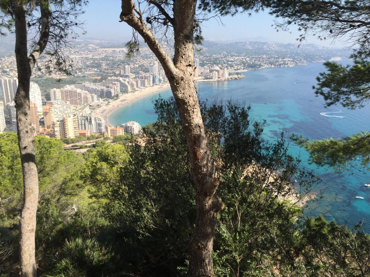 Appartamento Mesana 102 / Penthouse